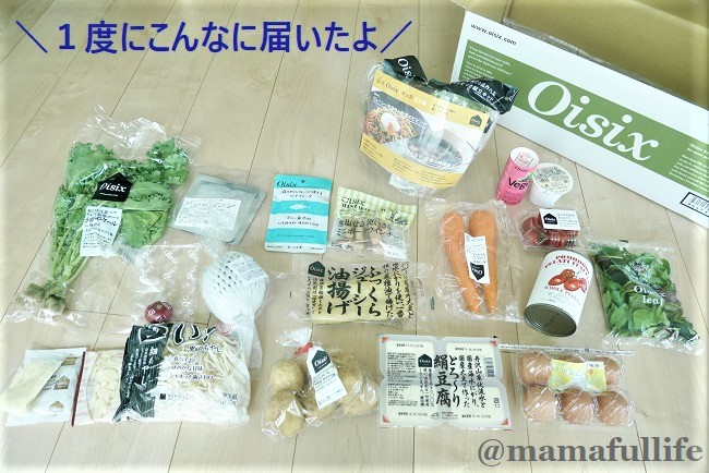 オイシックスお試しセット